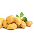 New potato and green leaves Royalty Free Stock Photo