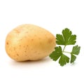 New potato and green parsley Royalty Free Stock Photo