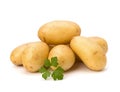 New potato and green parsley Royalty Free Stock Photo