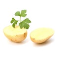 New potato and green parsley Royalty Free Stock Photo