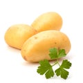 New potato and green parsley Royalty Free Stock Photo