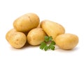 New potato and green parsley Royalty Free Stock Photo