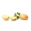 New potato and green parsley Royalty Free Stock Photo