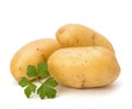 New potato and green parsley Royalty Free Stock Photo