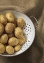 New potato Royalty Free Stock Photo