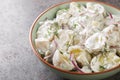 New potato salad with pickles, dill and red onion with sour cream dressing close-up in a plate. Horizontal
