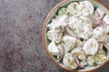 New potato salad with pickles, dill and red onion with sour cream dressing close-up in a plate. Horizontal top view