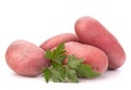 New potato tuber heap and parsley leaves Royalty Free Stock Photo