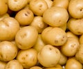 New potatoes Royalty Free Stock Photo