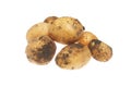 New potatoes Royalty Free Stock Photo