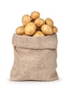 New potatoes in the bag Royalty Free Stock Photo