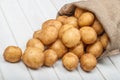 New potatoes in a bag Royalty Free Stock Photo