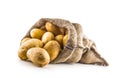 New potatoes in burlap sack isolated on white. Royalty Free Stock Photo