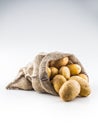 New potatoes in burlap sack isolated on white. Royalty Free Stock Photo