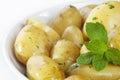 New Potatoes with Butter Parsley and Mint Royalty Free Stock Photo