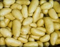 New potatoes close-up Royalty Free Stock Photo