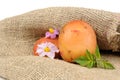 New Potatoes with Green Leaves and Potato flowers On Sackcloth Royalty Free Stock Photo