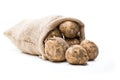 New potatoes in sackcloth bag isolated on white Royalty Free Stock Photo