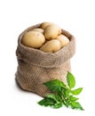 New potatoes in sackcloth bag isolated on white Royalty Free Stock Photo