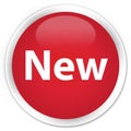 New premium red round button Royalty Free Stock Photo