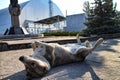 New Pripyat resident begs for attention in front of the New Safe Confinement of the Chernobyl reactor