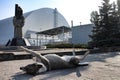 New Pripyat resident begs for attention in front of the New Safe Confinement of the Chernobyl reactor