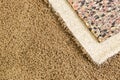 New Pulled Back Carpet and Padding In Room Royalty Free Stock Photo