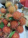 new rambutan fruit stems that are picked from the tree directly