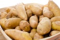 New rattes potatoes in a basket Royalty Free Stock Photo