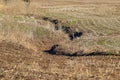 A new ravine on an agricultural field - soil erosion. Water erodes the soil Royalty Free Stock Photo