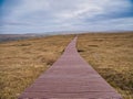 The new recycled plastic boardwalk takes visitors over fragile peatland and away from nesting birds on Hermaness Hill