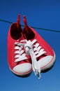 New red sneakers on washing line