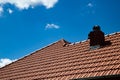 new red tiles roof and blue sky Royalty Free Stock Photo