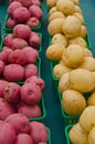 New Red and White Potatoes in baskets Royalty Free Stock Photo