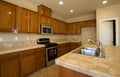 New or remodel residential kitchen