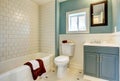 New remodeled blue bathroom classic.