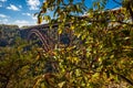 New River Gorge Bridge in West Virginia, USA, with fall colored trees in the foreground and blue sky with white clouds. Royalty Free Stock Photo