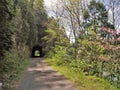 New River Trail Tunnel Royalty Free Stock Photo