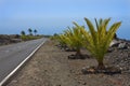 New road through volcanic landscape at La Palma Royalty Free Stock Photo