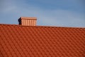 New roofing construction with attic skylights, rain gutter system, roof windows and roof protection from snow board Royalty Free Stock Photo