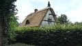 New roofing of a thatched roof. Germany, Schleswig-Holstein