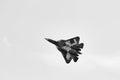 New Russian five generation's fighter SU 57 (T-50) shows demonstration flight at Moscow salon MAKS 2017.