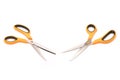 New scissor with orange and black color on handle isolated on white Royalty Free Stock Photo