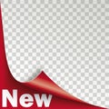 New Scrolled Corner Red Paper Cover Transparent