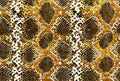 trendy snake skin pattern background snake skin