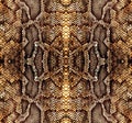 trendy snake skin pattern background snake skin