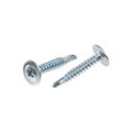 New Self Tapping Screws isolated on white background Royalty Free Stock Photo