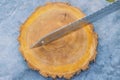 New sharp knife lying on, cutting board made from log with bark Royalty Free Stock Photo