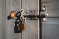 New shiny locked brass padlock hanging from bolt lock on garden wooden shed door. No key.