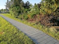 New sidewalk made of concrete paving, next to thick bushes Royalty Free Stock Photo